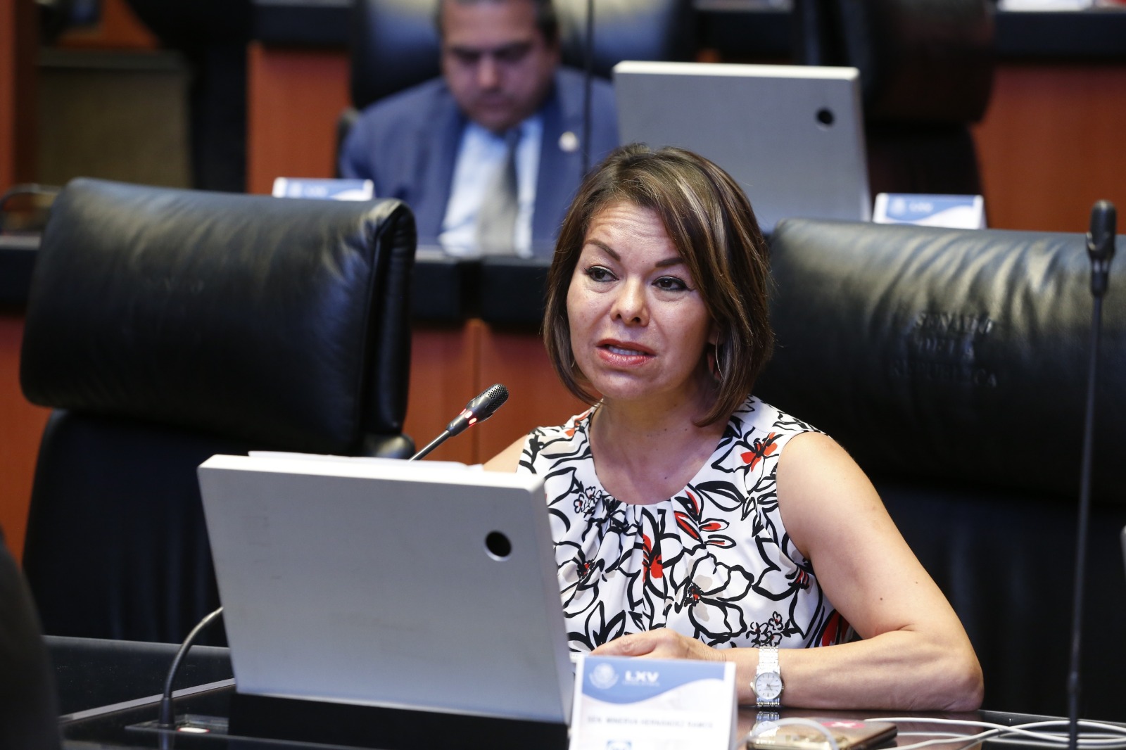 Desde el Senado, condena Minerva Hernández privatización de Radio Altiplano